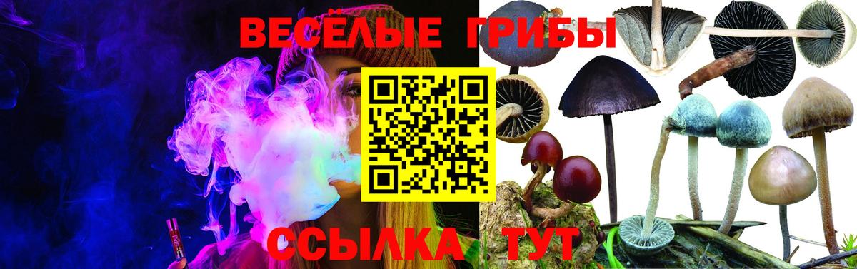 Псилоцибиновые грибы GOLDEN TEACHER  Псилоцибиновые грибы ЛСД  Кстово  Вход с VPN 
